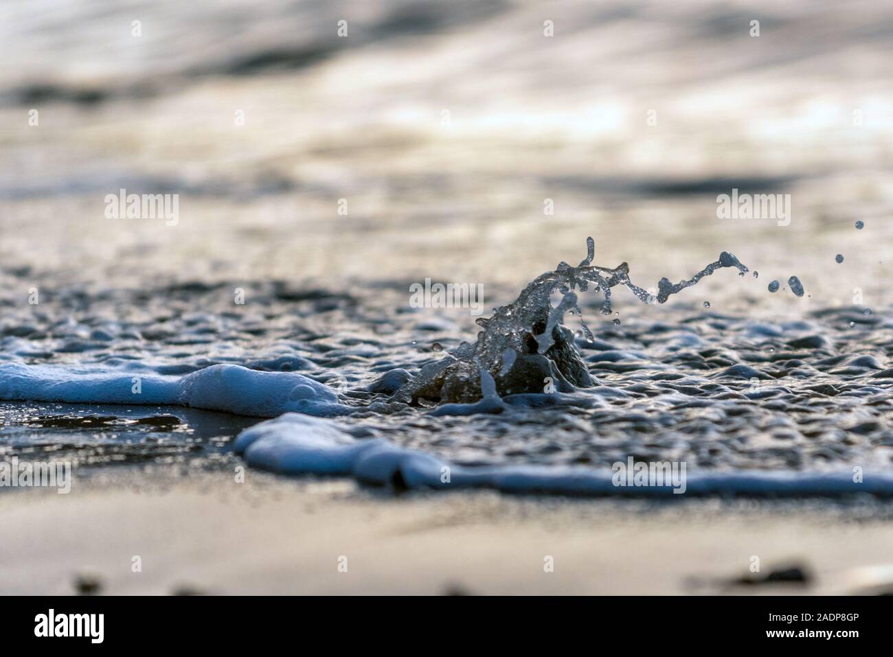 Sottolineato conchiglia di mare reindirizzare la marea surf come esso spashes fino e oltre con il litorale onde. Foto Stock