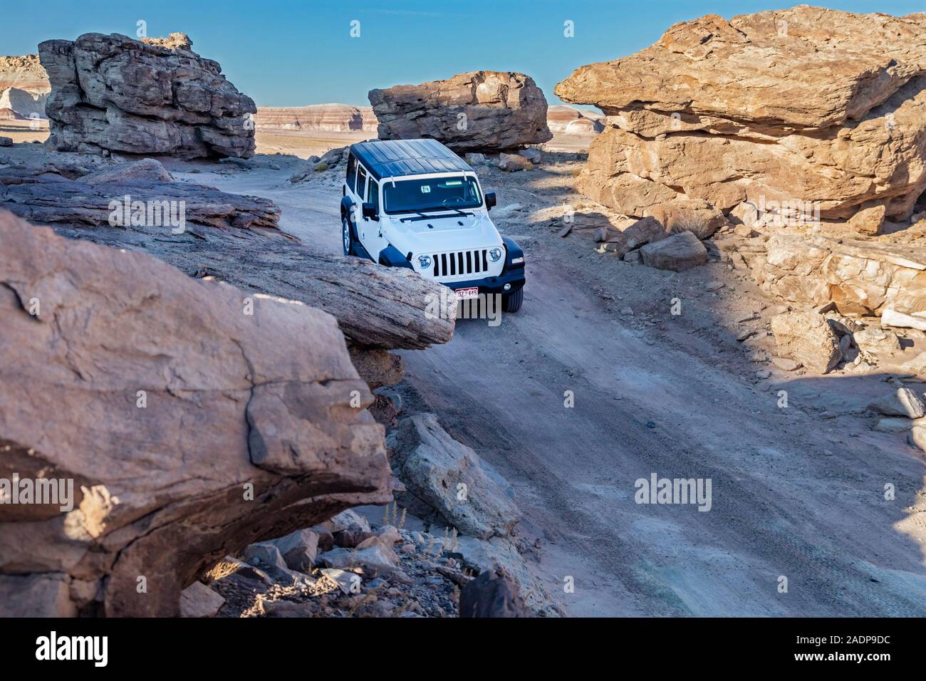 Hanksville, Utah - una jeep viaggia su di sterco di vacca strada nel deserto dello Utah. Foto Stock
