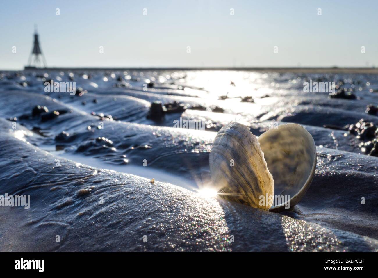 Gaper sabbia nel mare di Wadden in Cuxhaven, Germania con il Kugelbake, un aiuto storico al punto più settentrionale della Bassa Sassonia, in background Foto Stock