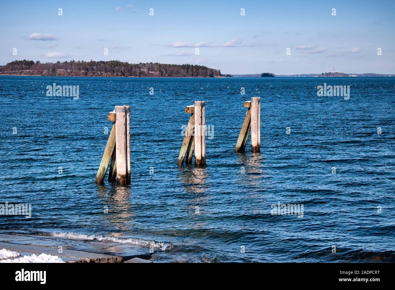 Colonne di legno nel casco bay nei pressi della east end di lancio in barca a Portland Maine su un soleggiato blue sky giorno d'inverno. Foto Stock