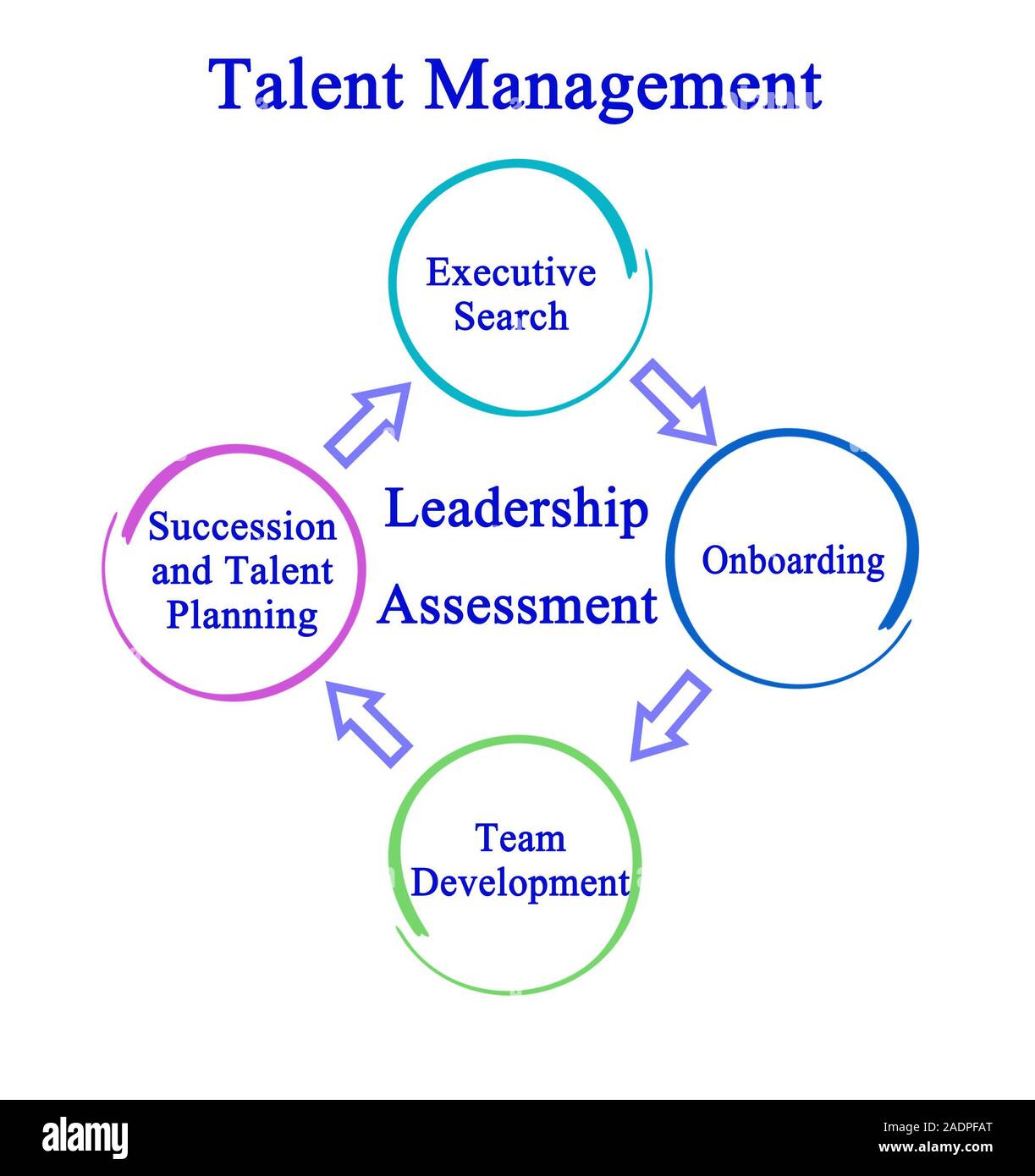Quattro componenti di Talent Management Foto Stock