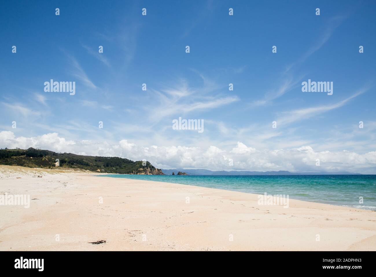 Una bella immagine di panorama di una nuova zelanda spiaggia di sabbia bianca nella Penisola di Coromandel su una perfetta giornata estiva. Foto Stock