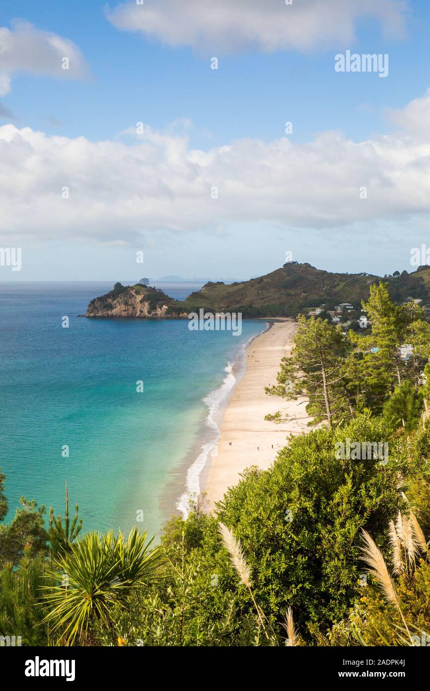 Paesaggio verticale immagine dalla passeggiata al Cove della cattedrale, in Hahei, Coromandel, Nuova Zelanda, in una giornata di sole guardando indietro verso Hahei beach. Foto Stock