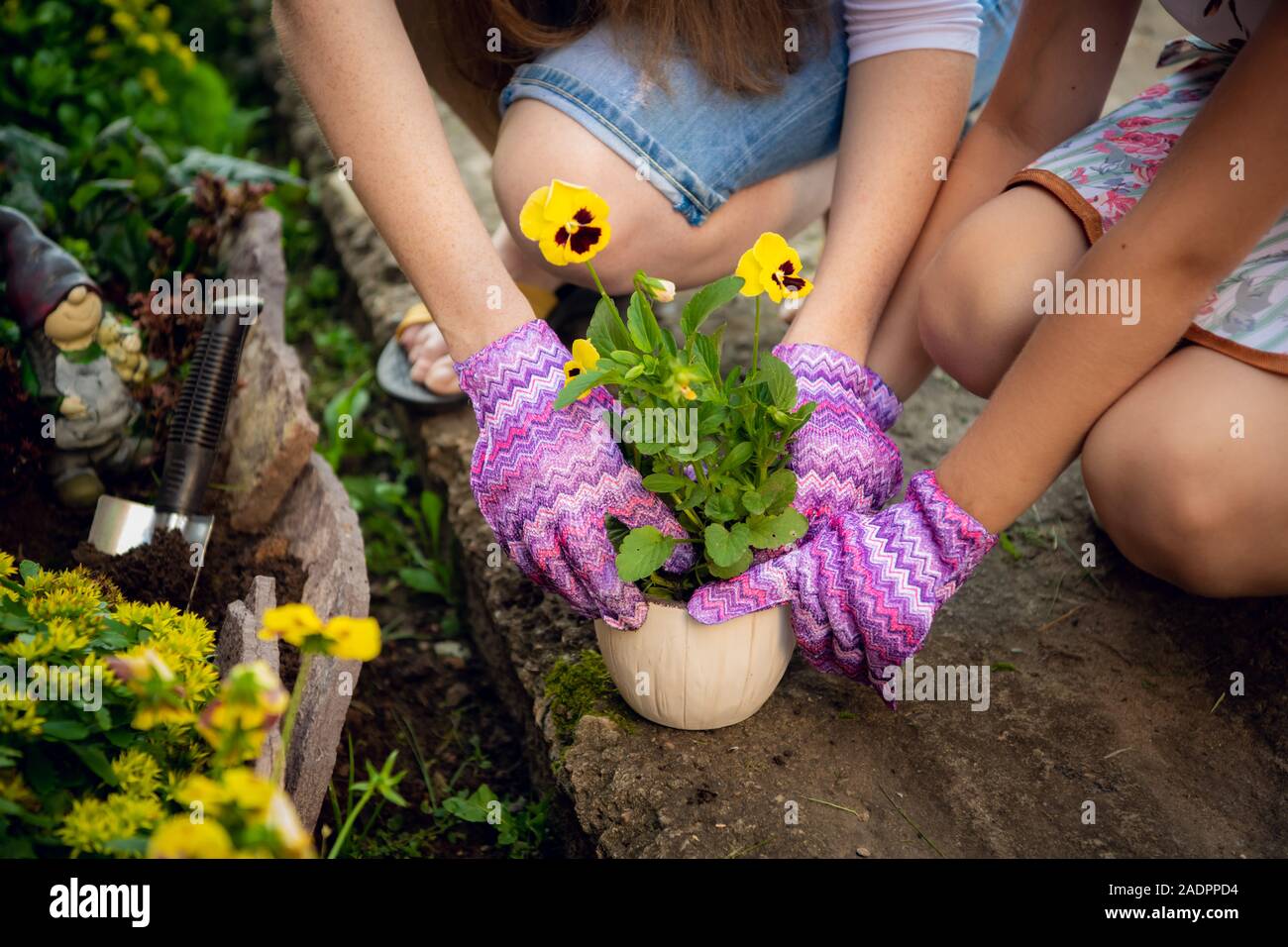 Due persone - madre e figlia - sono piantare fiori per la pentola per decorare il giardino. Foto Stock