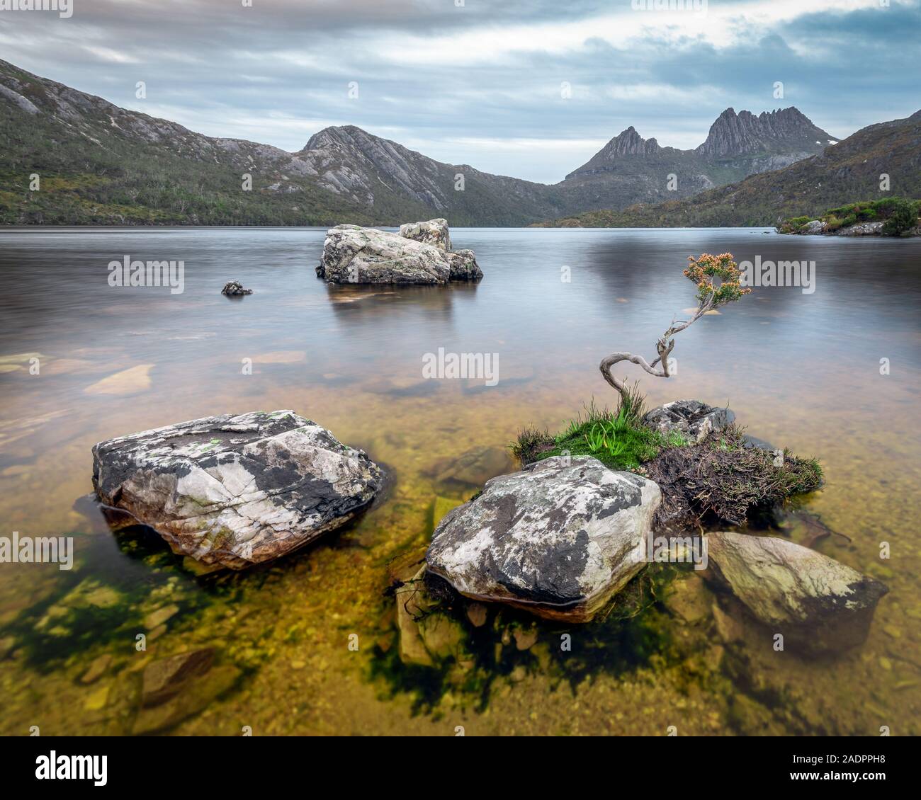 Cradle Mountain e il Lago di colomba, Tasmania Foto Stock