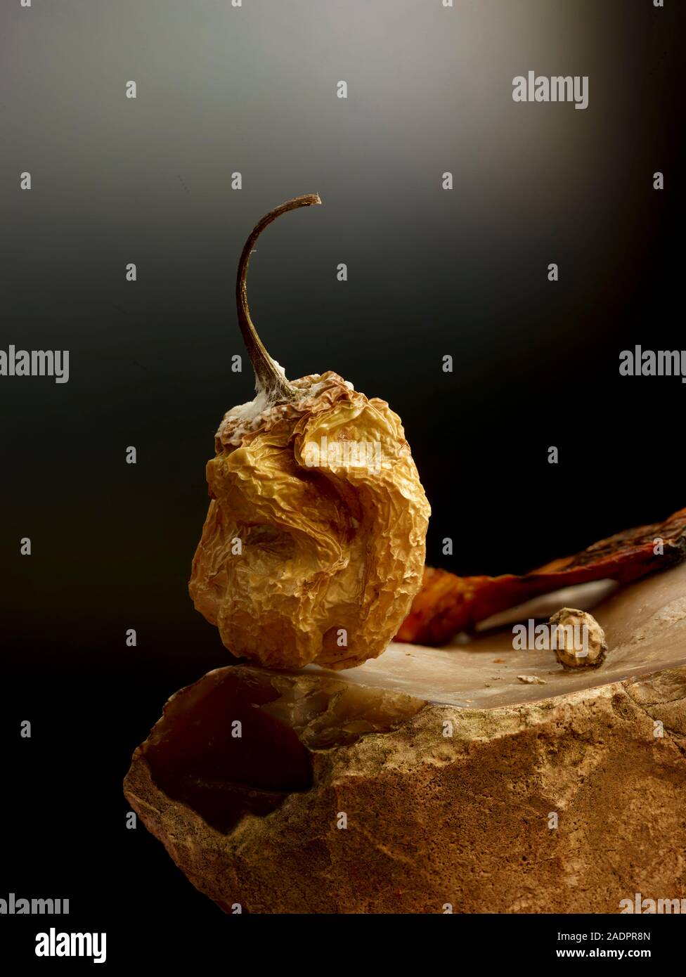 Close up Scotch Bonnet pepe cibo fotografia ritratto Foto Stock