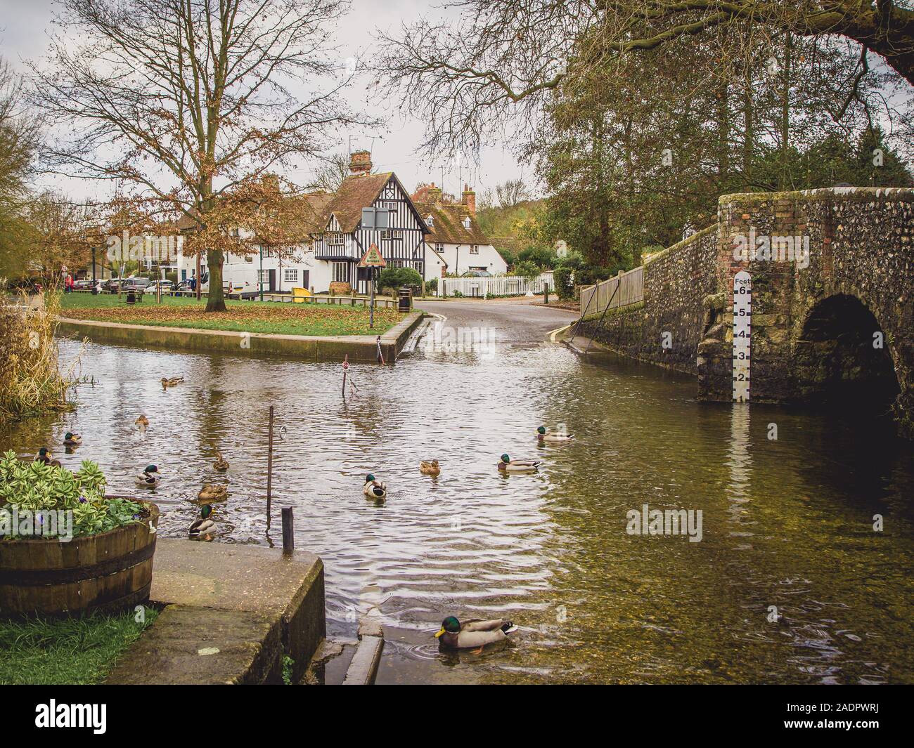 Una Ford a Eynsford nel Kent. Un paesino del Kent con un ponte storico sul fiume Darent dove anatre godetevi una nuotata. Foto Stock