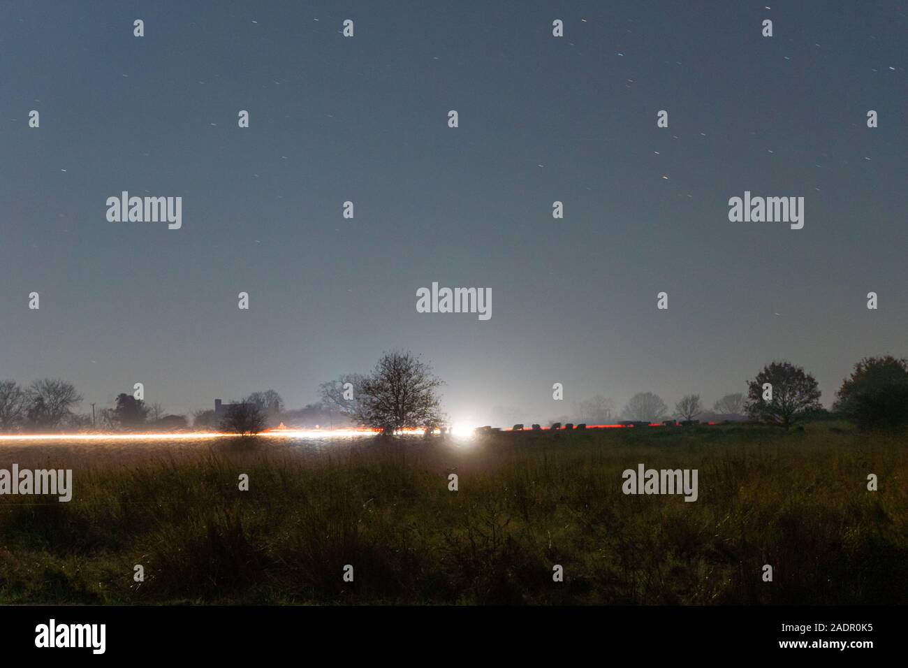 I percorsi del traffico andando su terra comune con le mucche profilarsi in lontananza. In inverni una notte in campagna. Foto Stock
