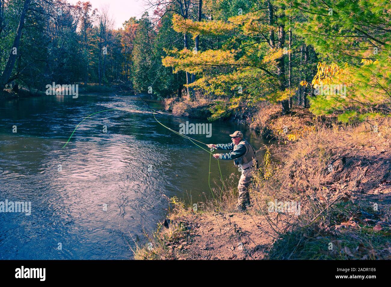 Fly fisherman casting per steelhead trota di Pere Marquette River vicino Walhalla, Michigan, Stati Uniti d'America Foto Stock
