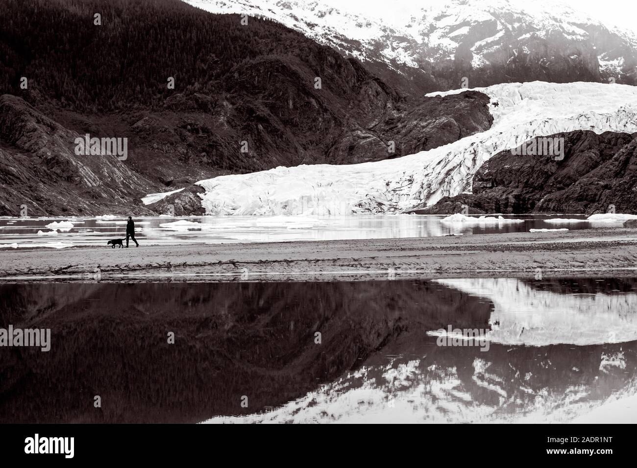 Una donna e il suo cane a camminare sotto il Mendenhall Glacier vicino a Juneau, Alaska, Stati Uniti d'America. Foto Stock