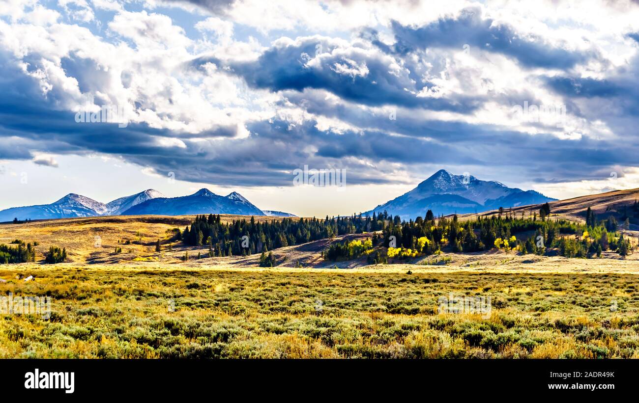 Il Gallatin Mountain Range con picco elettrico sotto il sole del pomeriggio. Visto dal Grand Loop Road a Mammoth Hot Springs a Yellowstone NP in WY Foto Stock