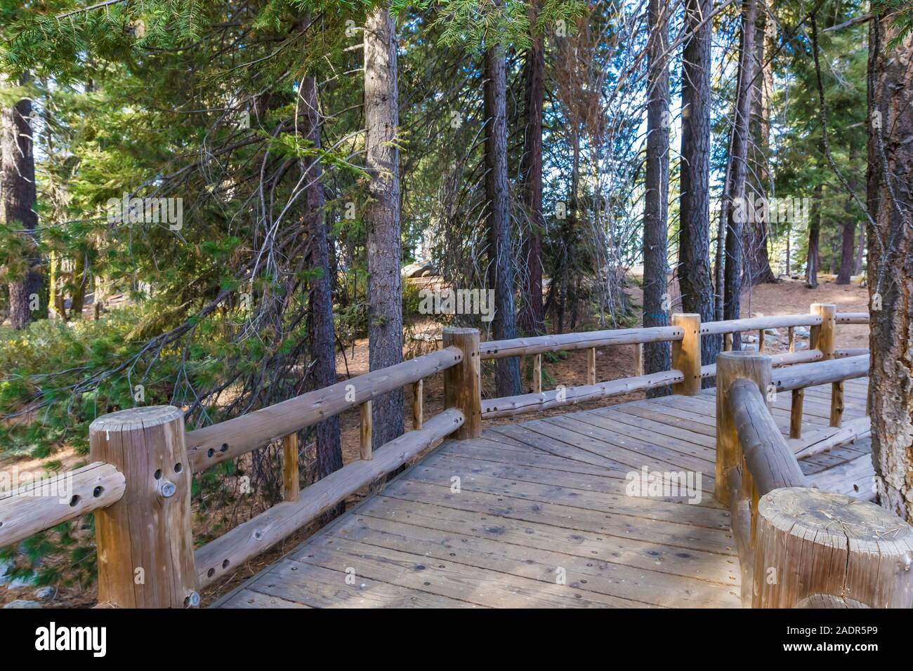 Ponte rustico vicino al parcheggio in Sherman area della struttura ad albero di Sequoia National Park, California, Stati Uniti d'America Foto Stock