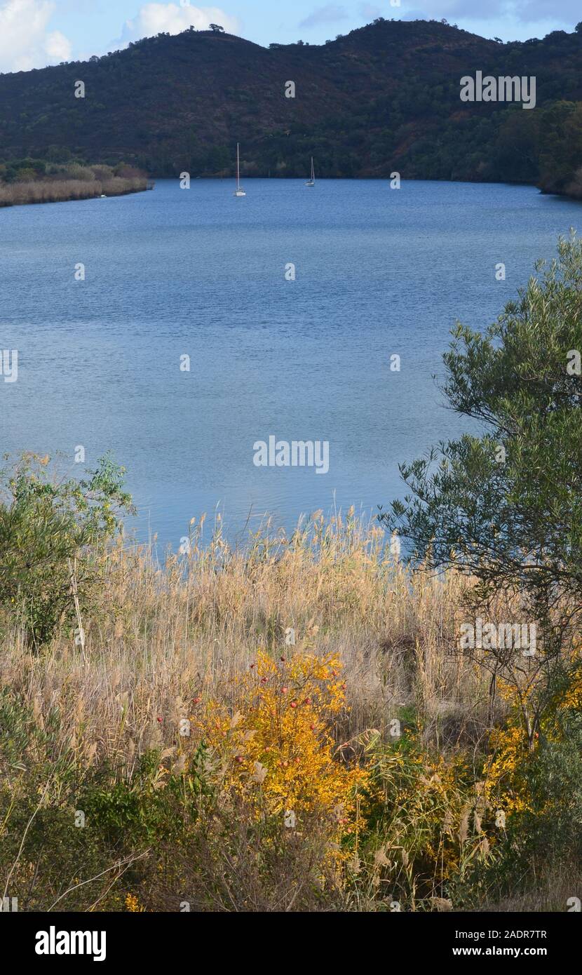 La bassa valle del Guadiana (al confine tra il Portogallo e la Spagna), un ecosistema di mosaico che comprenda acque di estuario, piccola scala frutteti, fluviali Foto Stock