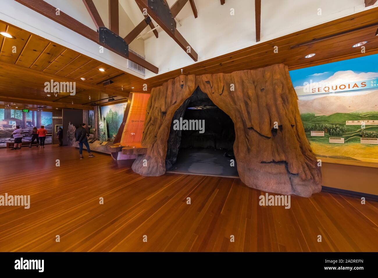 Giant Forest Museum espone circa gli incendi e di ecologia forestale nel Parco Nazionale di Sequoia, California, Stati Uniti d'America [Nessun modello di rilascio; disponibile per editoriale licen Foto Stock