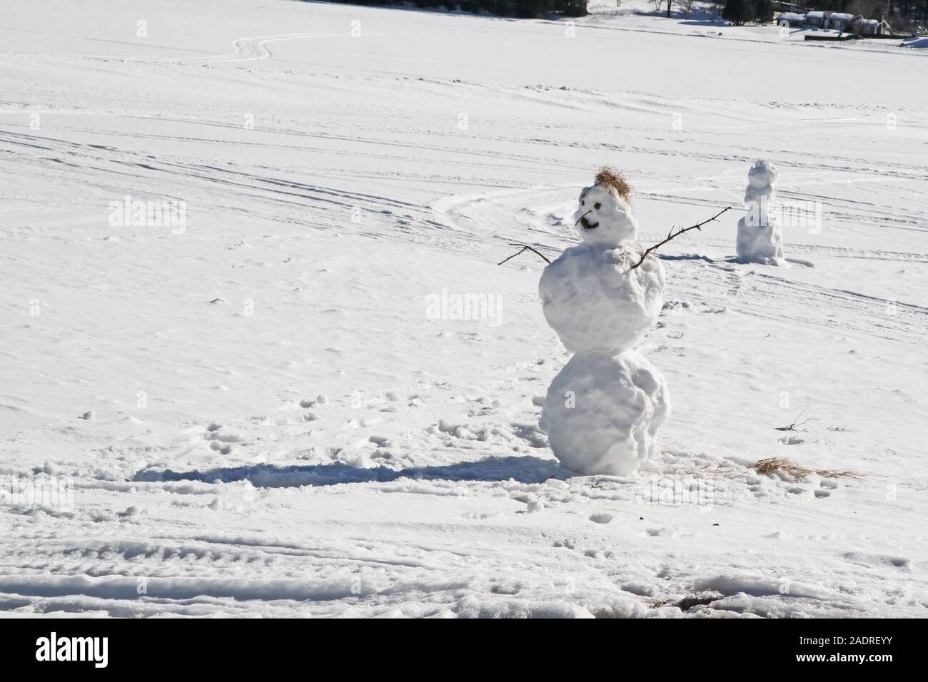Pupazzi di neve su una collina in inverno Foto Stock