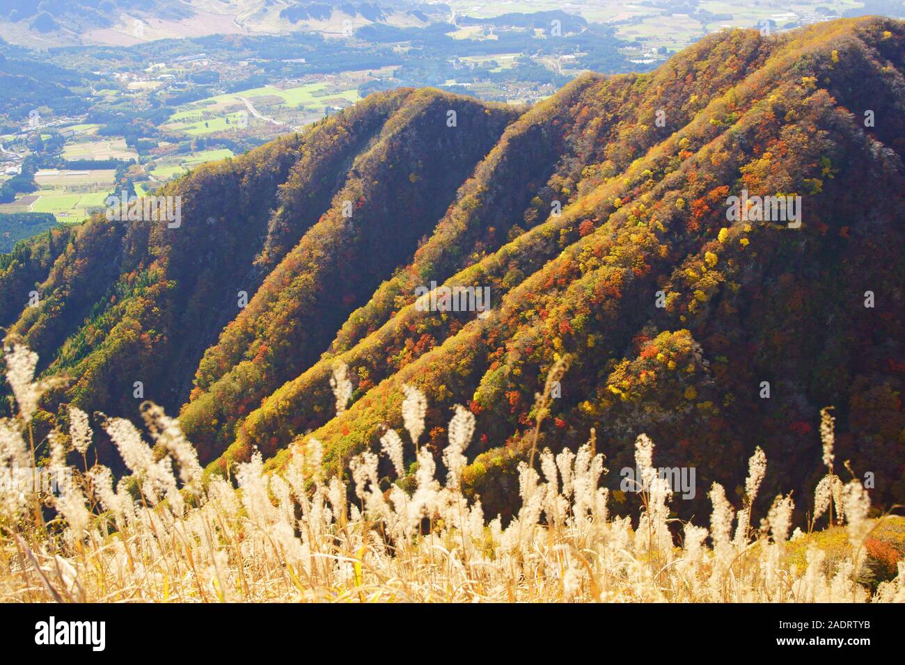 Giapponese caduta delle foglie, Mt. Neko, Aso, Giappone Foto Stock