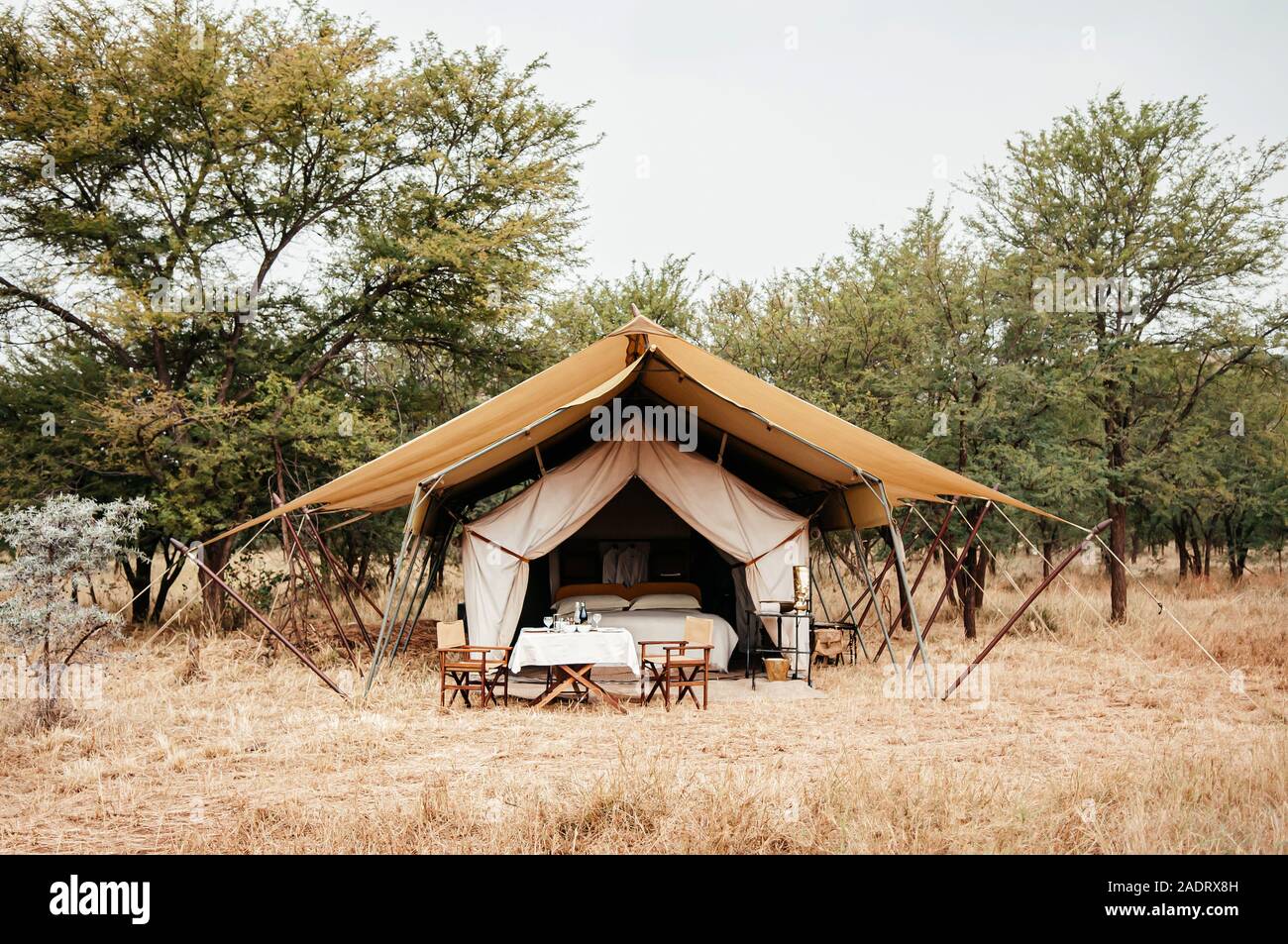 Una tela Campo in tenda nel Parco Nazionale del Serengeti Foto stock - Alamy