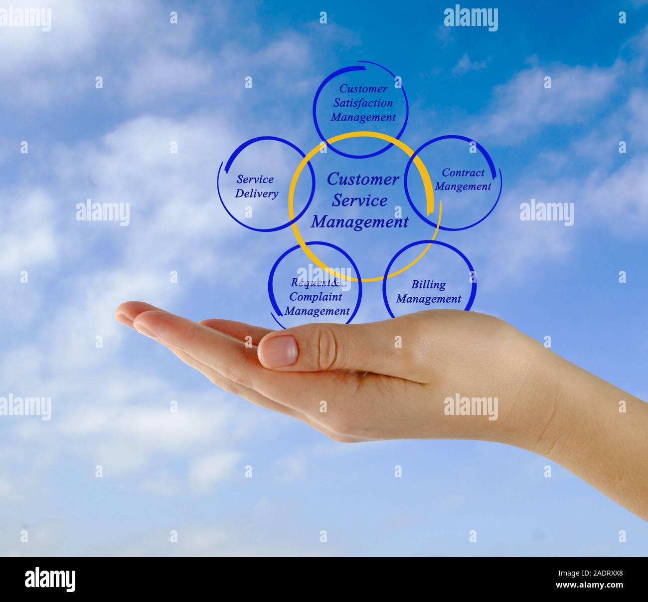 Schema di Gestione assistenza clienti Foto Stock