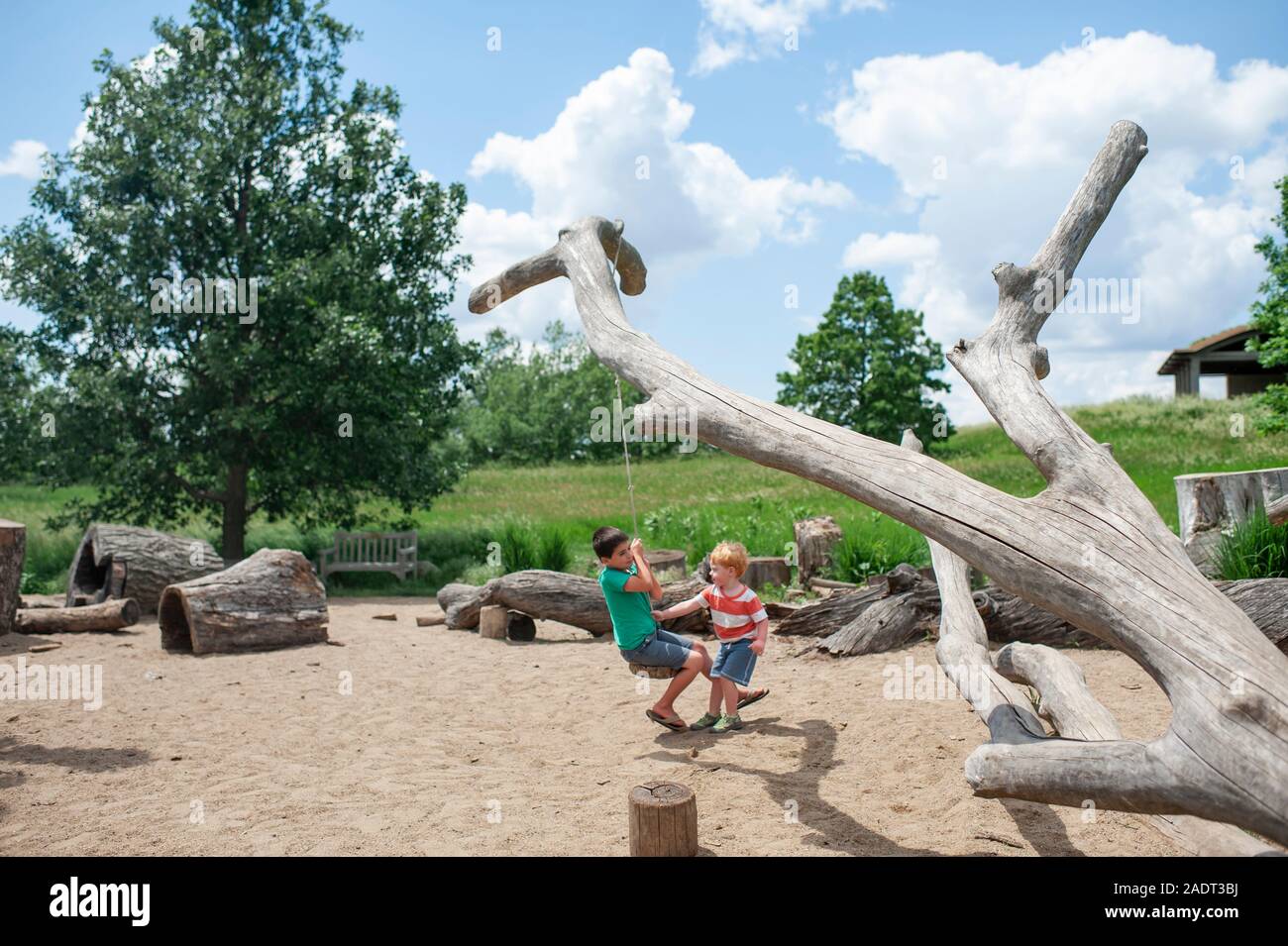 Fratelli spingono reciprocamente su un albero di oscillare all'aperto presso un parco locale Foto Stock