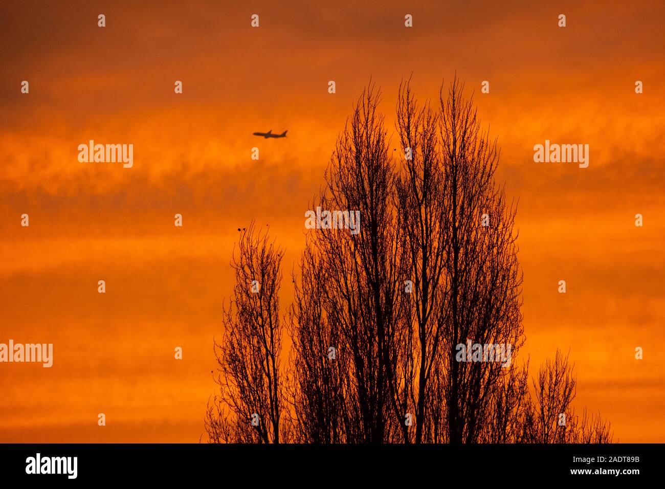 Il torneo di Wimbledon, Londra, Regno Unito. Il 5 dicembre 2019. Vivido arancione sunrise suburbana sopra il sud ovest di Londra dopo un nebbioso e gelido di notte. Credito: Malcolm Park/Alamy Live News. Foto Stock