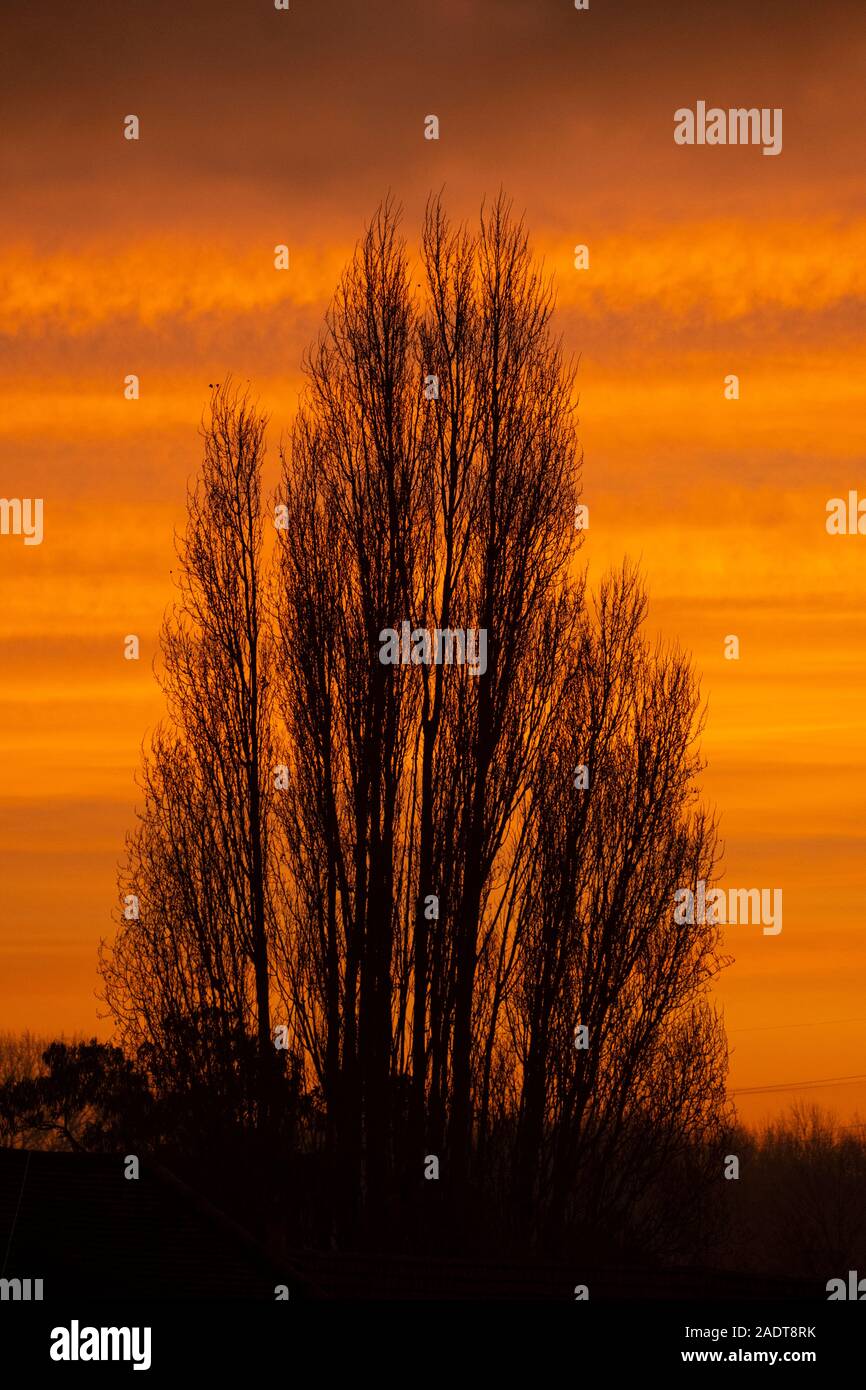 Il torneo di Wimbledon, Londra, Regno Unito. Il 5 dicembre 2019. Vivido arancione sunrise suburbana sopra il sud ovest di Londra dopo un nebbioso e gelido di notte. Credito: Malcolm Park/Alamy Live News. Foto Stock