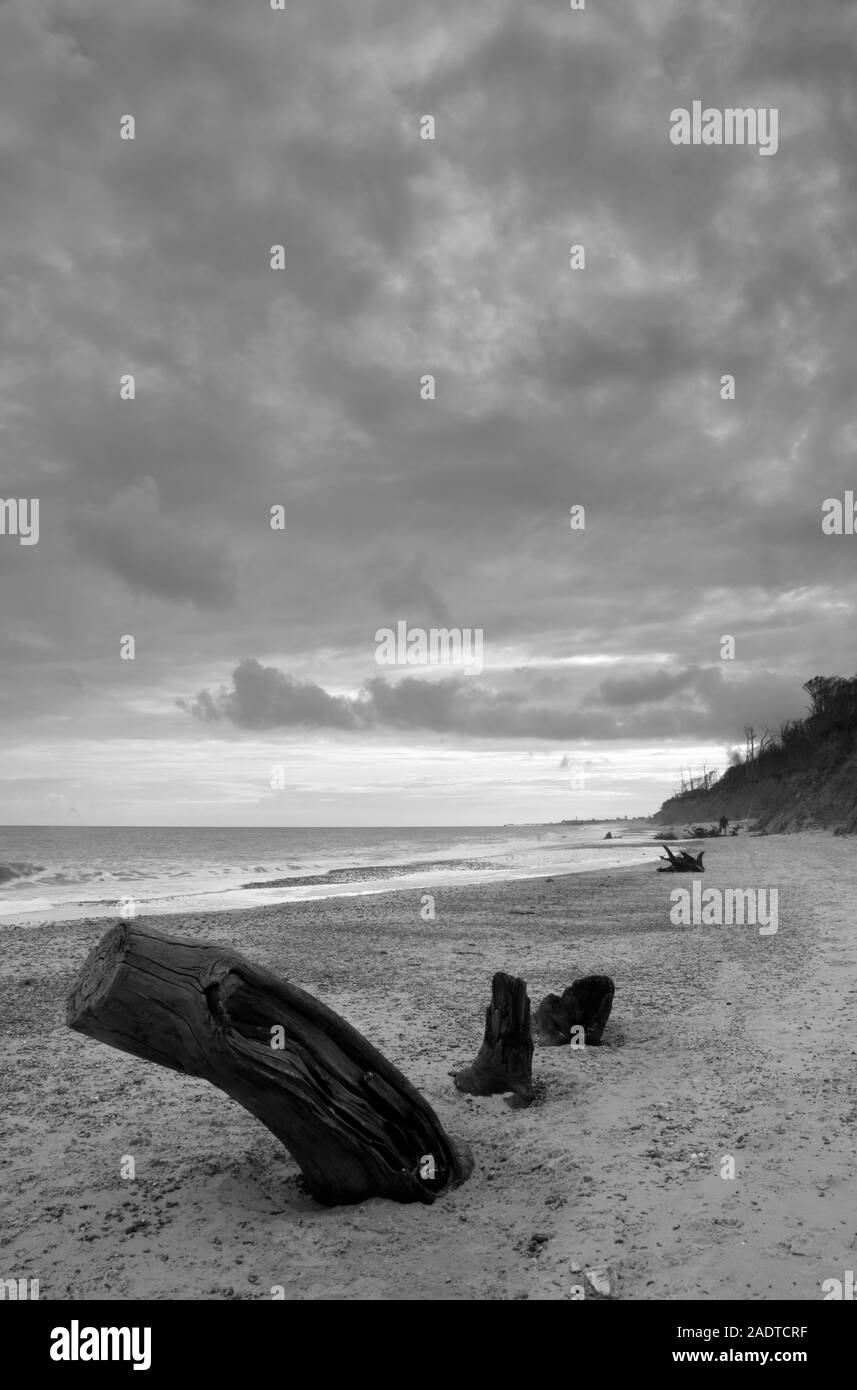Spiaggia a Covehithe, Suffolk, Inghilterra, Regno Unito Foto Stock