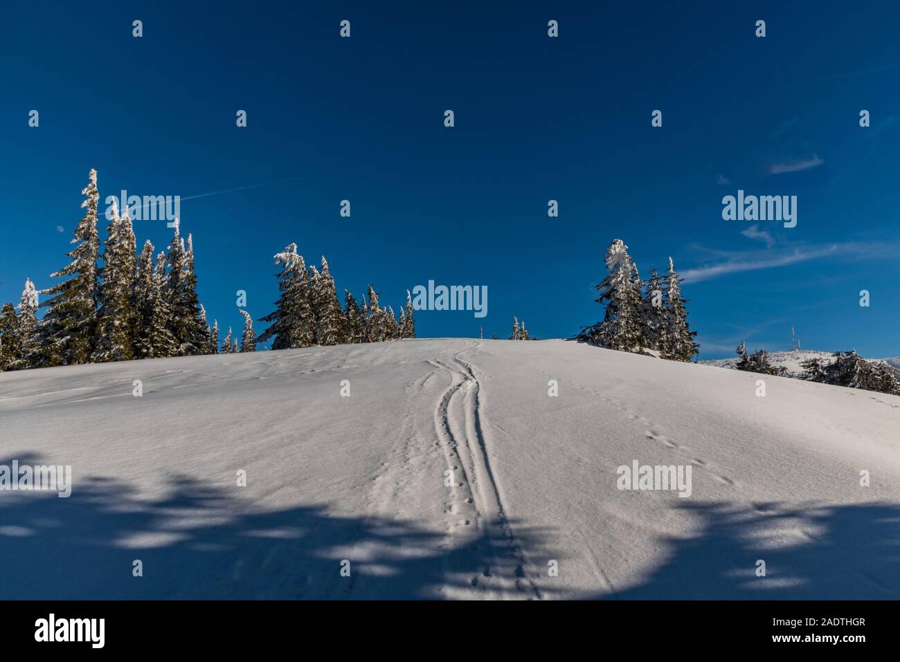Inverno Martinske foro vicino Krizava hill in Mala Fatra montagne in Slovacchia con pochi alberi più piccoli, la neve e il cielo blu Foto Stock
