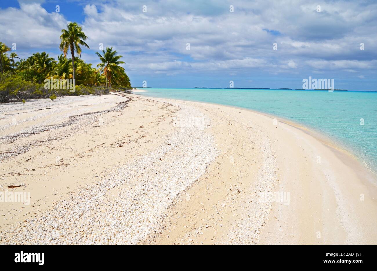 Linee di gusci formare strisce lungo una spiaggia da Anaa Atoll, Polinesia Francese Foto Stock