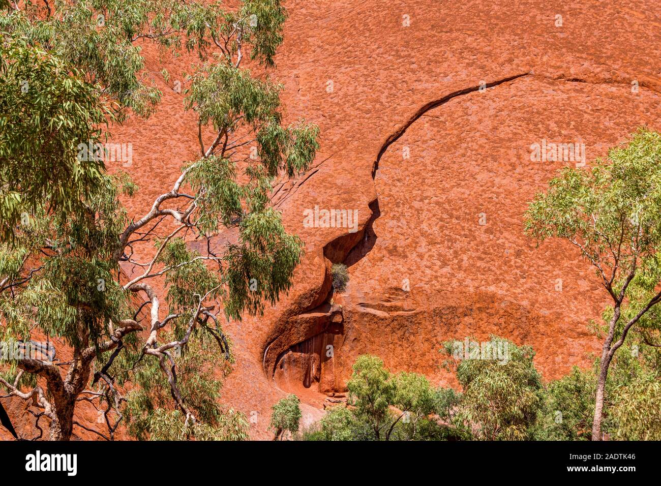 La passeggiata Mala va dal parcheggio di Mala alla Gola di Kantju lungo la base di Uluru (Ayres Rock). Uluru, territorio del Nord, Australia Foto Stock