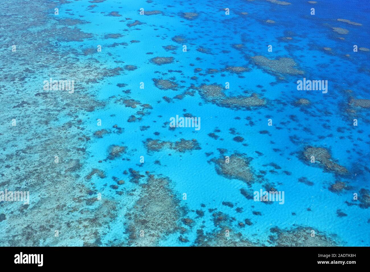 Vista aerea sulla meraviglia naturale della Grande barriera corallina davanti alla costa orientale dell'Australia Foto Stock