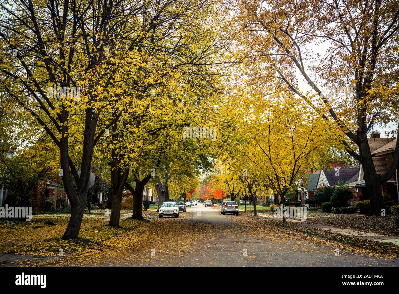 Oriente villaggio inglese di quartiere, Detroit, Michigan, Stati Uniti d'America Foto Stock