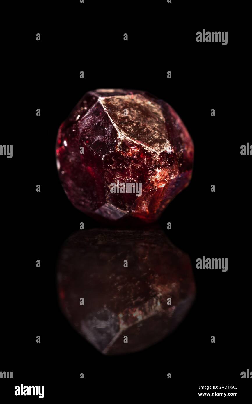 Colore rosso granato, gemme minerali di silicato, sfondo nero con la riflessione Foto Stock
