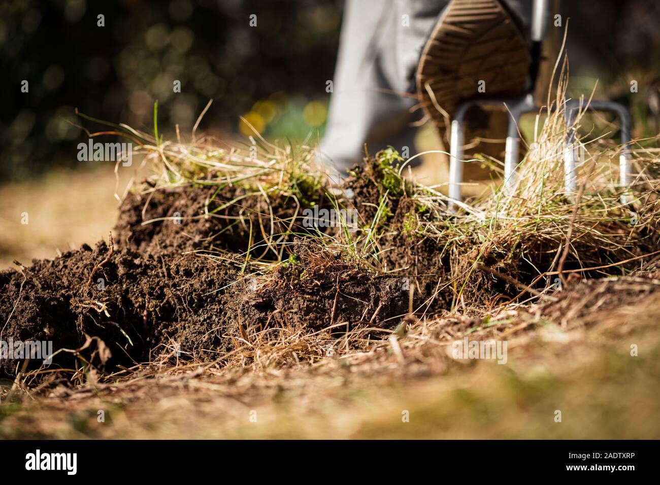 Giardiniere aerare il terreno e scavare fino al giardino con terreno di scavo o spading forcella, bassa angolazione Foto Stock