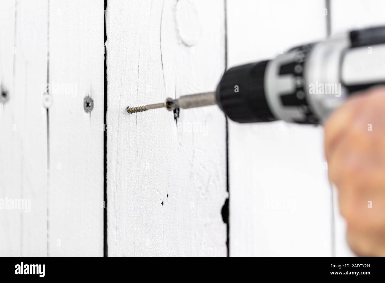 Un pannello truciolare vite viene avvitata in un bordo, tavola di legno è fissato con la vite con un cacciavite a batteria Foto Stock