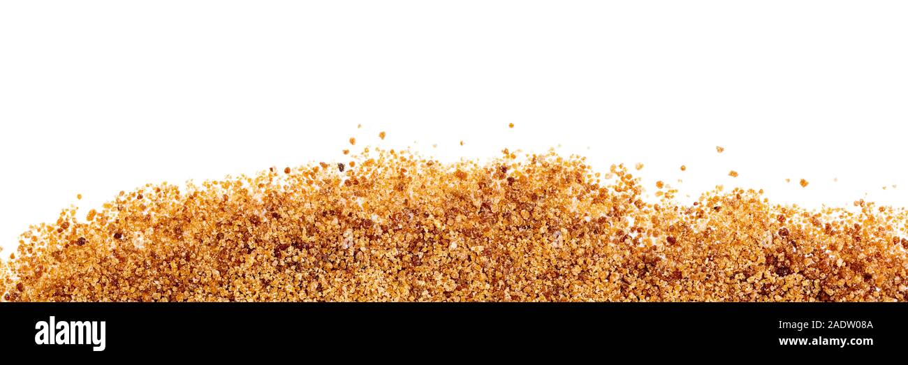 Intestazione, palma da cocco zucchero su sfondo bianco con copyspace Foto Stock