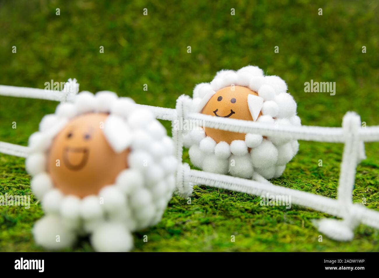 Molla di divertenti o scenario di pasqua sul prato verde, due figure di agnello uova su una recinzione Foto Stock