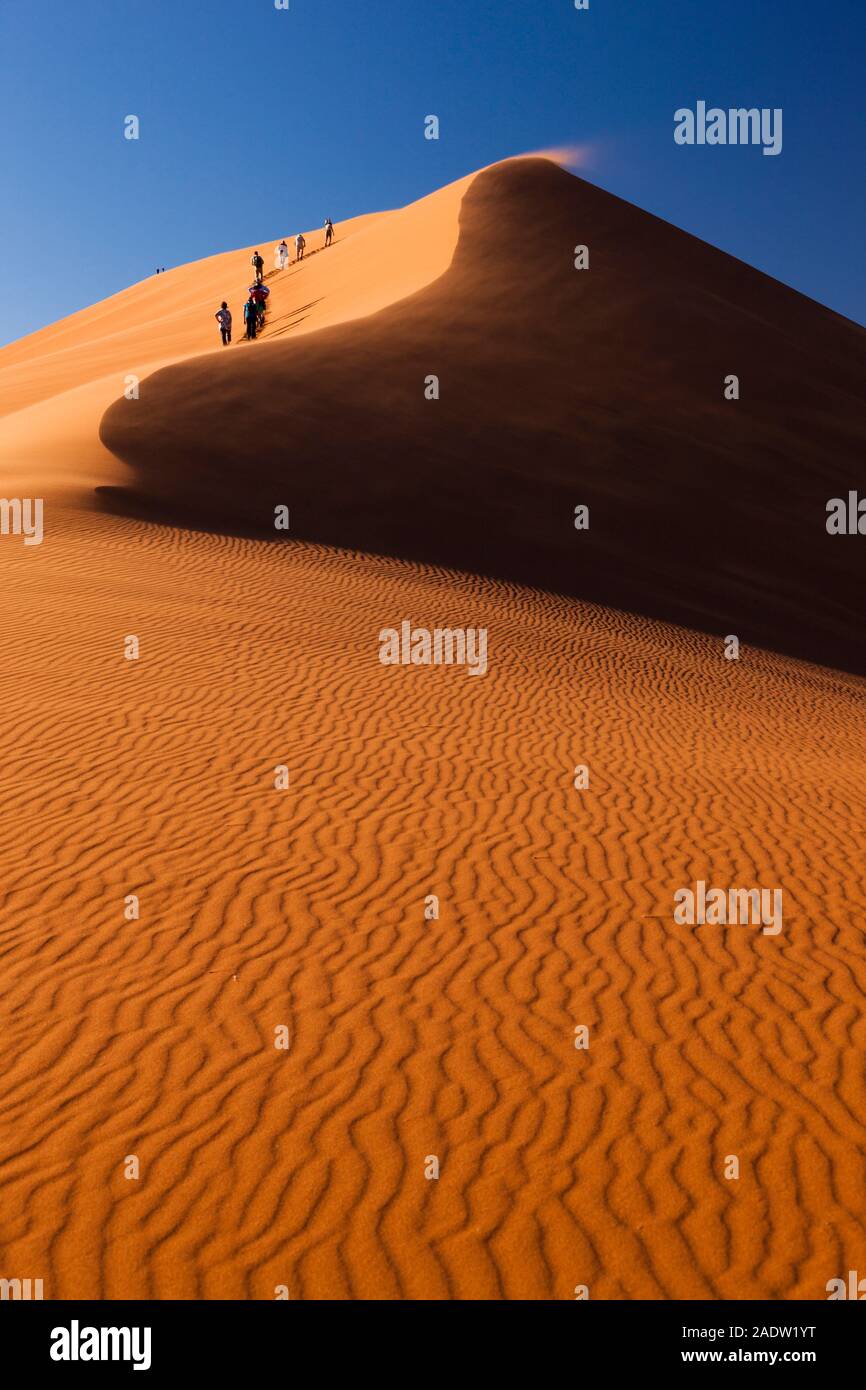 Salita Duna 45, vicino a Sesriem, deserto del Namib, Namibia, Africa del Sud, Africa Foto Stock