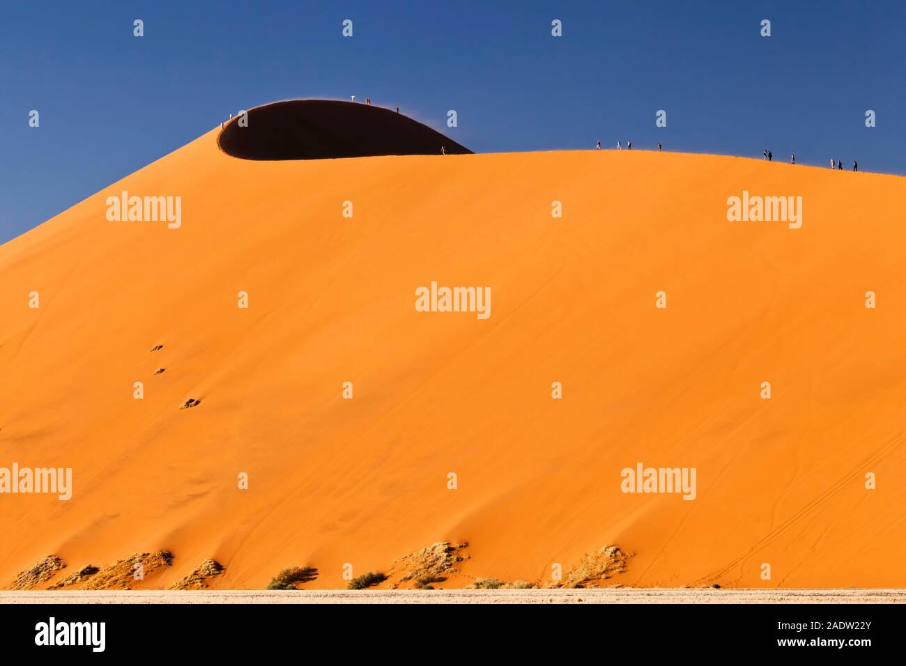 Salita Dune 45, vicino a Sesriem, deserto del Namib, Parco Nazionale Namib-Naukluft, Namibia, Africa del Sud, Africa Foto Stock
