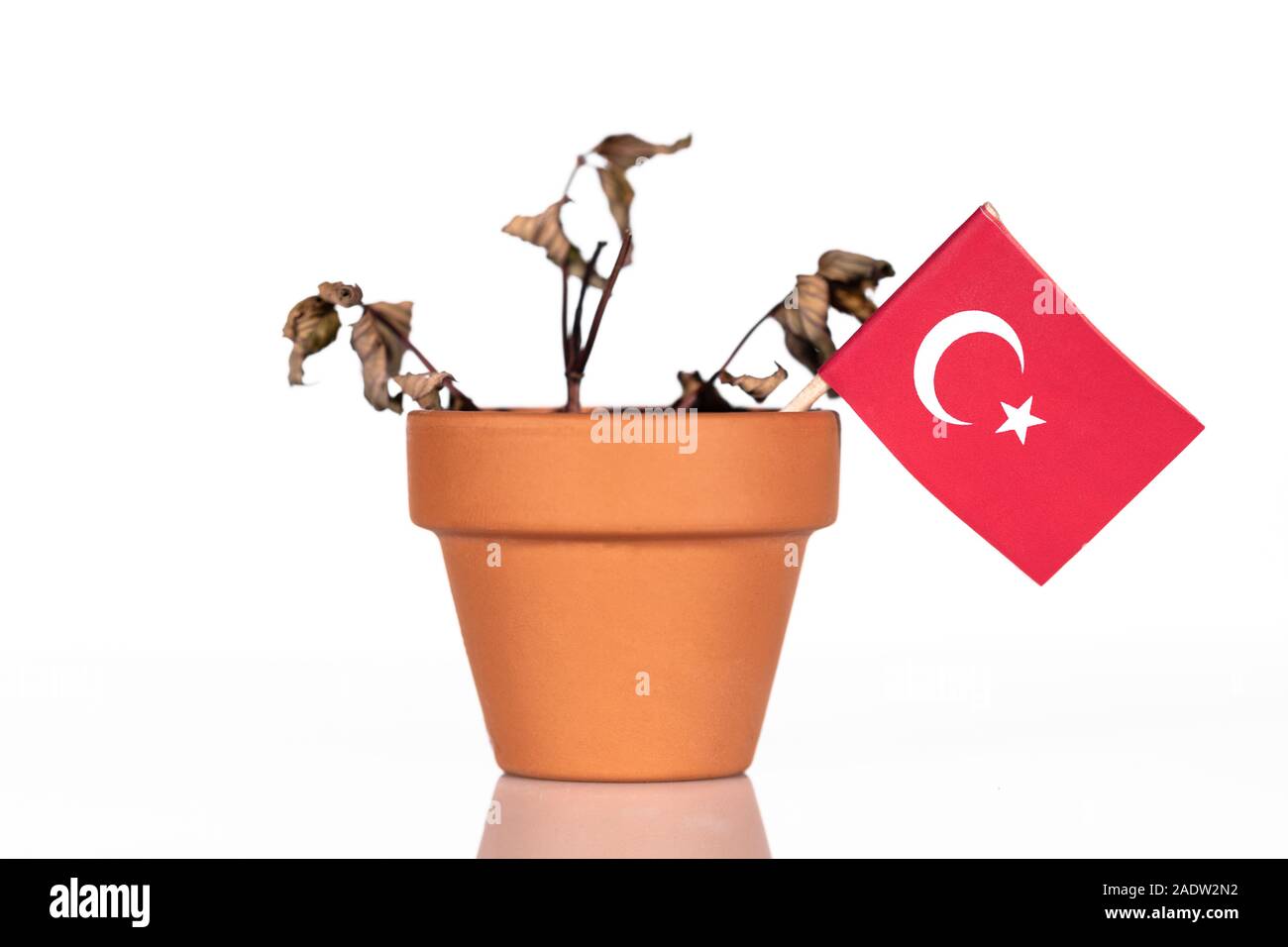 Bandiera della Turchia in un vaso con fiori di siccità, conceptpeanlties o punitive tariffarie o male il potere d'acquisto. simbolo per una cattiva economia di un paese Foto Stock