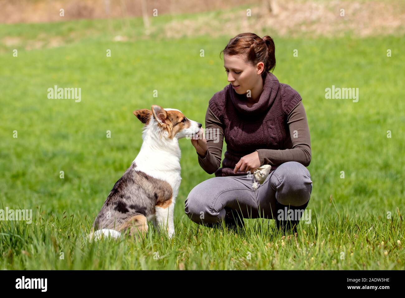 Giovane donna dà il suo cucciolo di cane una vera chicca, di formazione e di apprendimento presso il dog park, copyspace Foto Stock