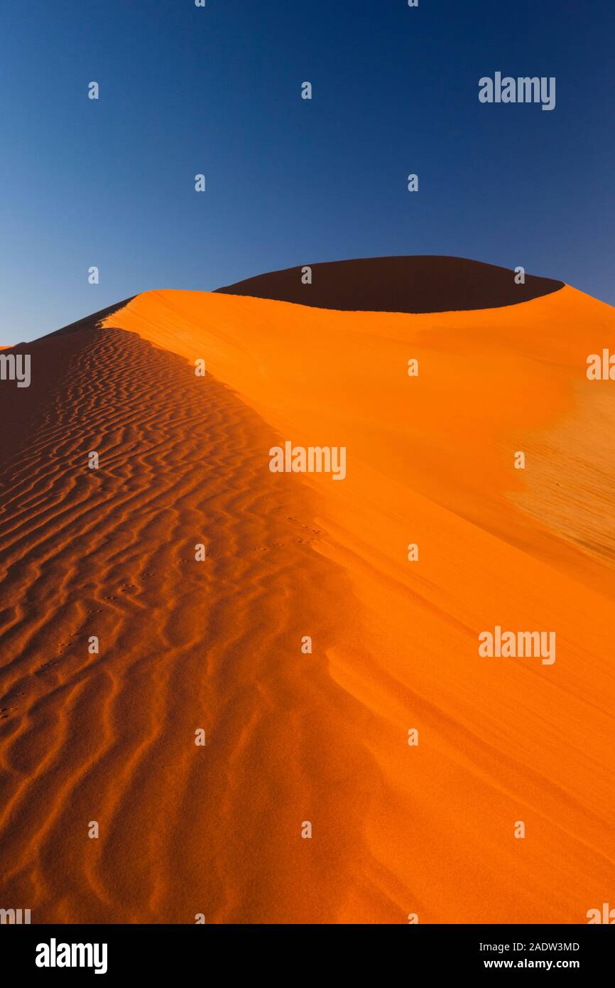 Dune mattutine con ondate di vento, Sossusvlei, deserto del Namib, Parco Nazionale del Namib-Naukluft, Namibia, Africa Meridionale, Africa Foto Stock