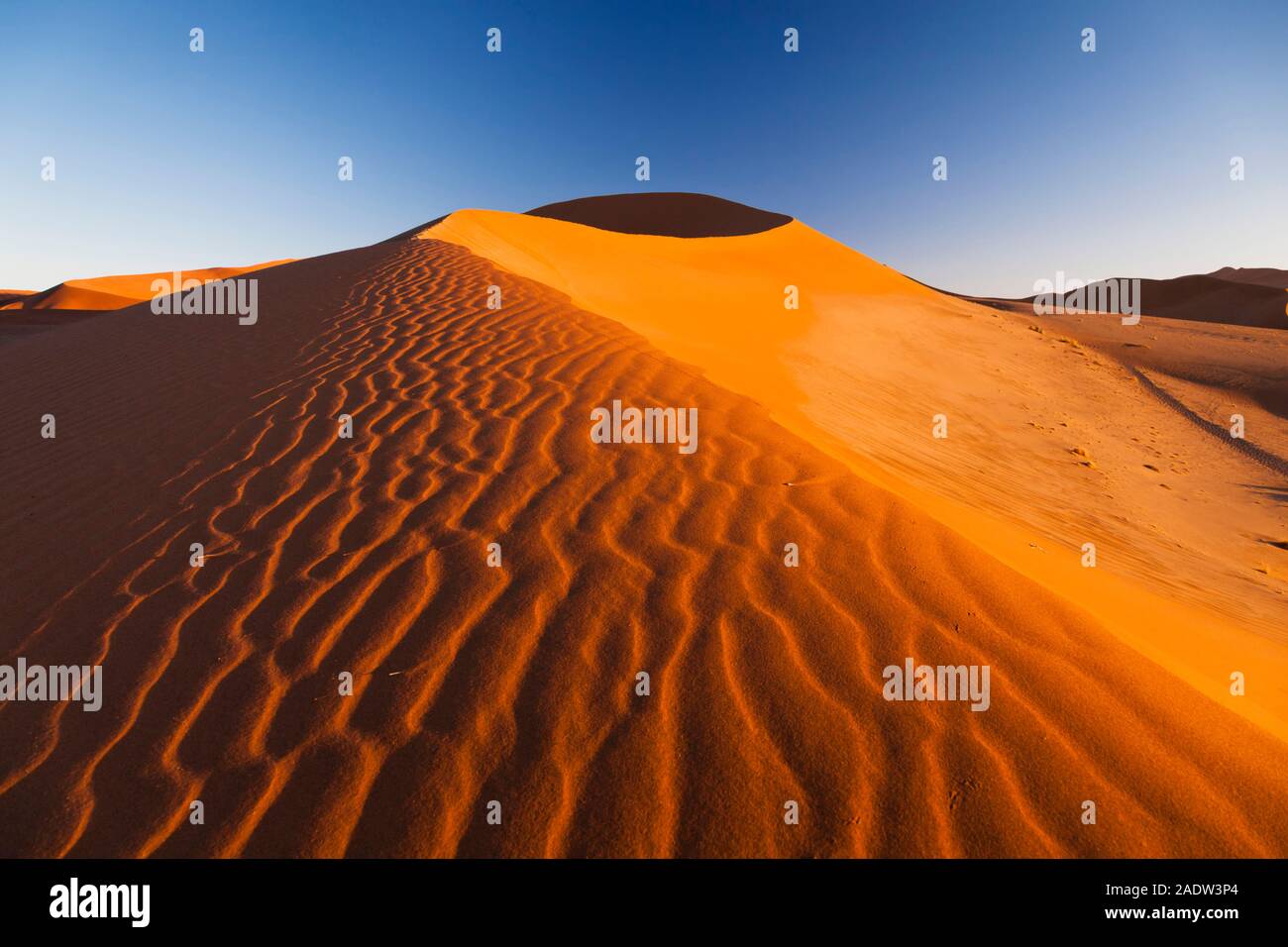 Dune mattutine con ondate di vento, Sossusvlei, deserto del Namib, Parco Nazionale del Namib-Naukluft, Namibia, Africa Meridionale, Africa Foto Stock