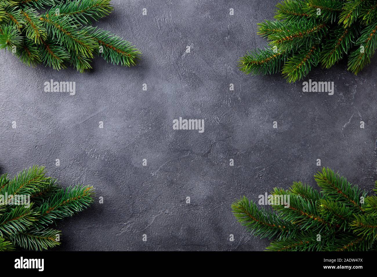 Natale Abete rami telaio. Sfondo di ardesia. Vista dall'alto. Spazio di copia Foto Stock