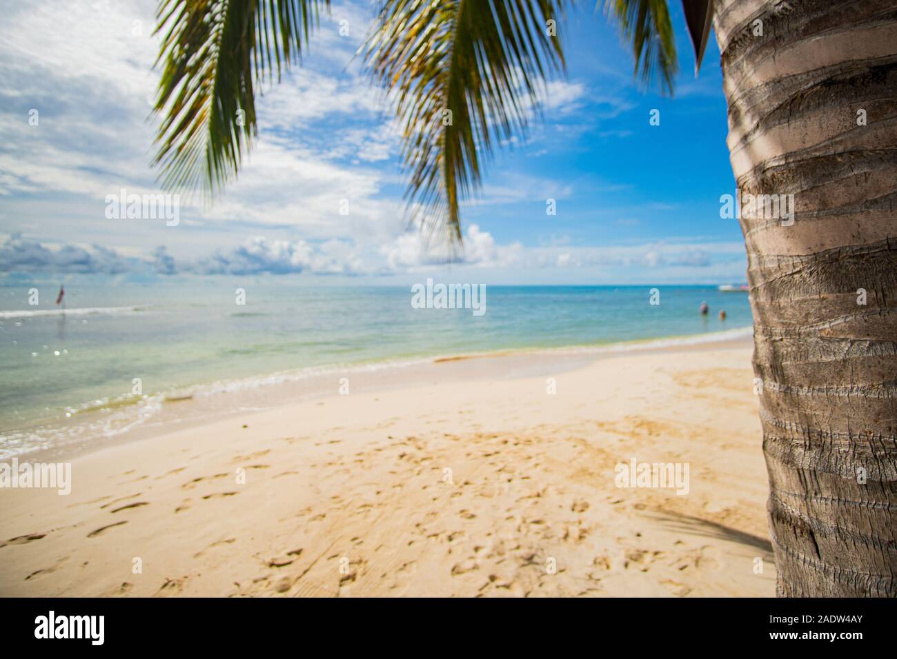 Sogno caraibico - perfetta spiaggia con sabbia bianca e acqua turchese al Mar dei Caraibi a Playa del Carmen, Messico Foto Stock