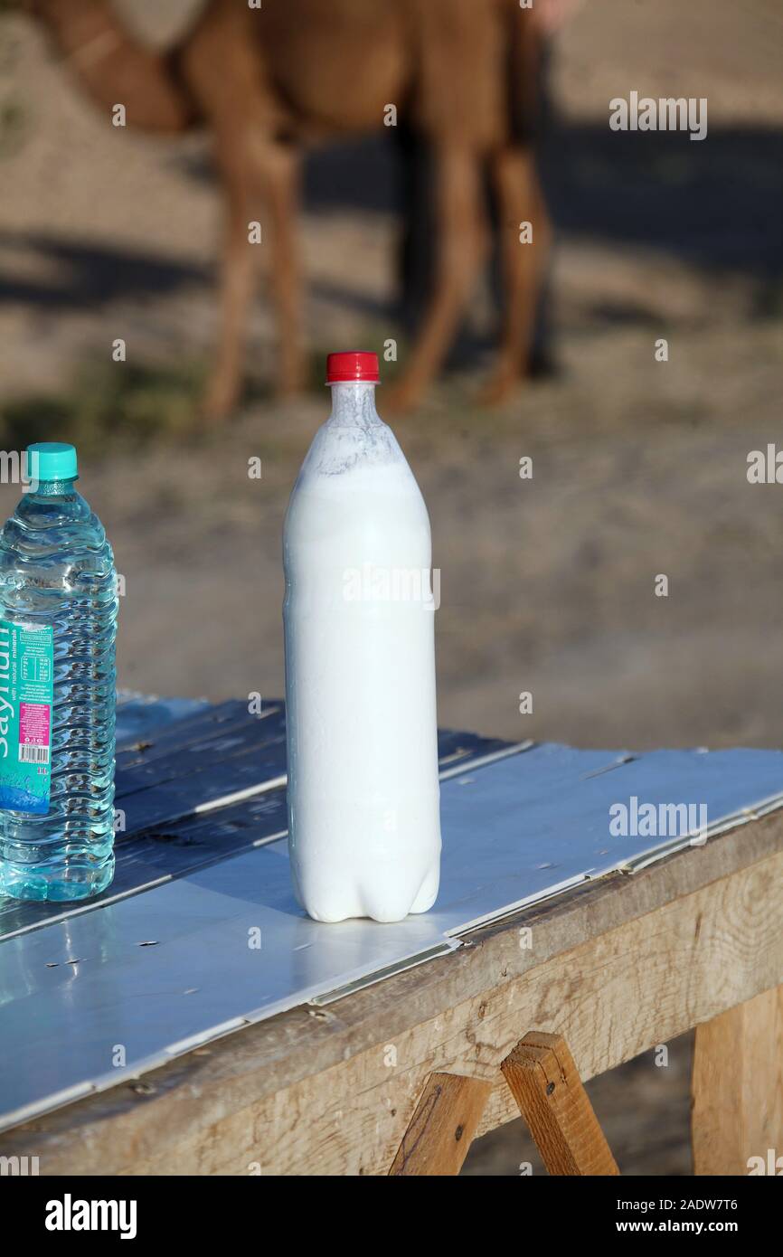 Latte di cammello per la vendita in corrispondenza di un bordo strada stallo in Asia centrale Foto Stock