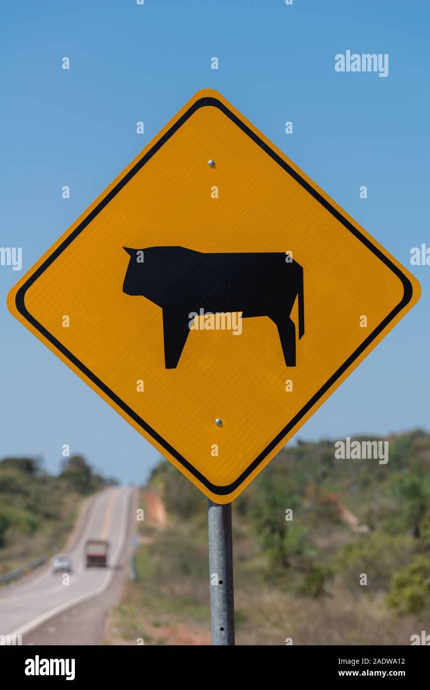 Cartello stradale, Bolivia, America Latina Foto stock - Alamy