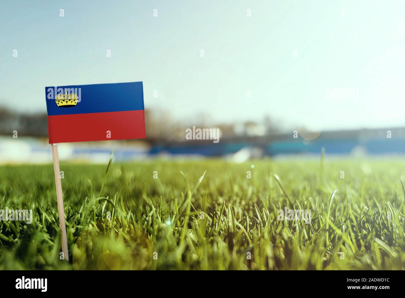 Stick miniaturizzato Liechtenstein bandiera su erba verde, vicino campo di sole. Lo sfondo dello stadio, copia spazio per il testo. Foto Stock