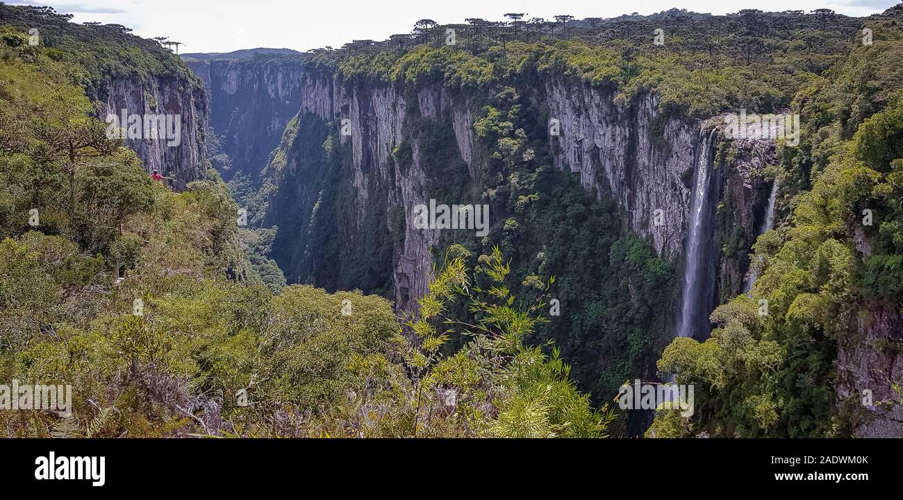 Canyon del parco nazionale Aparados da Serra nel stato del Rio Grande do sul nel Brasile meridionale Foto Stock