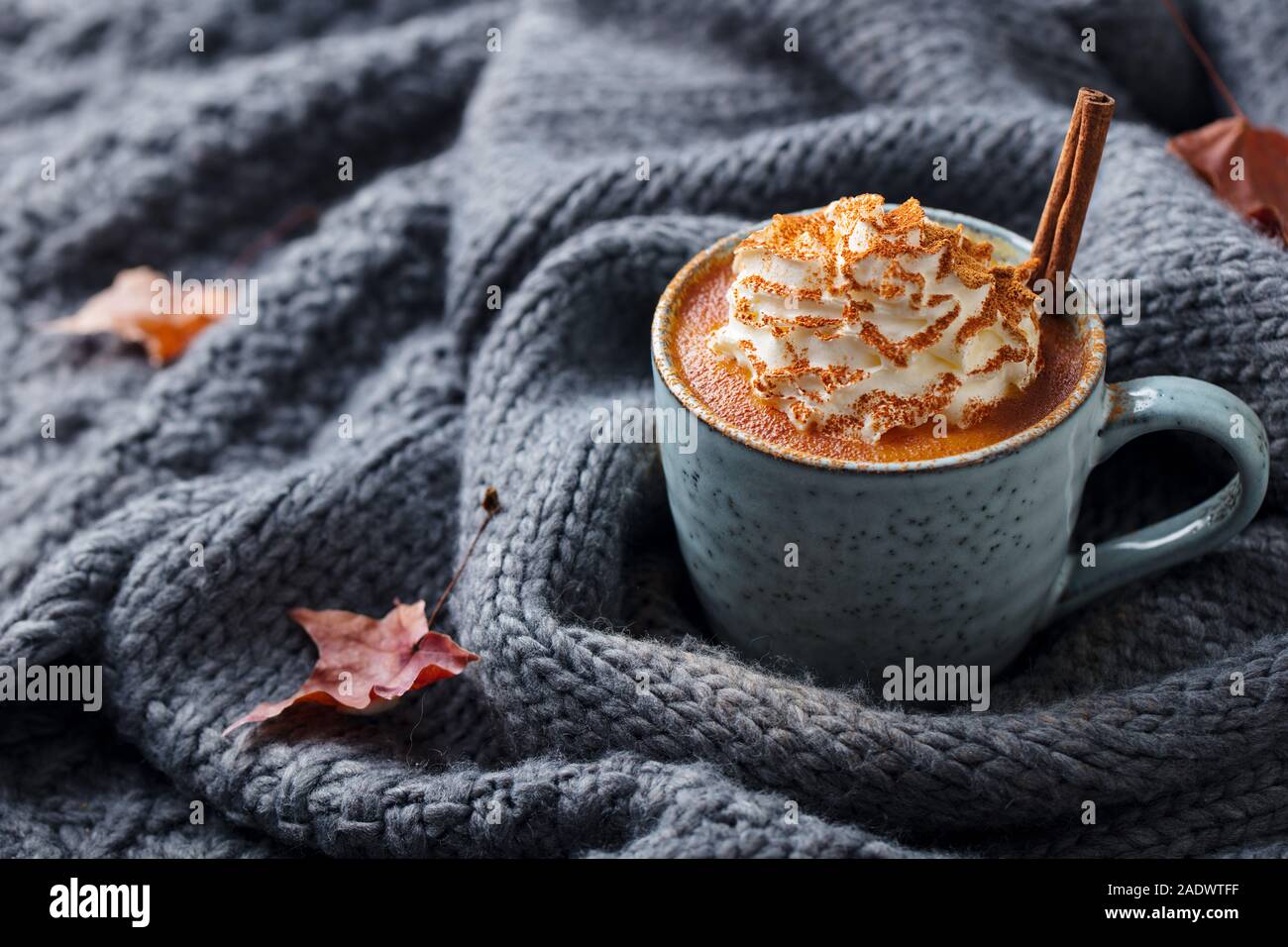 Latte macchiato di zucca con spezie e panna montata. Grigio sfondo a maglia. Spazio di copia Foto Stock