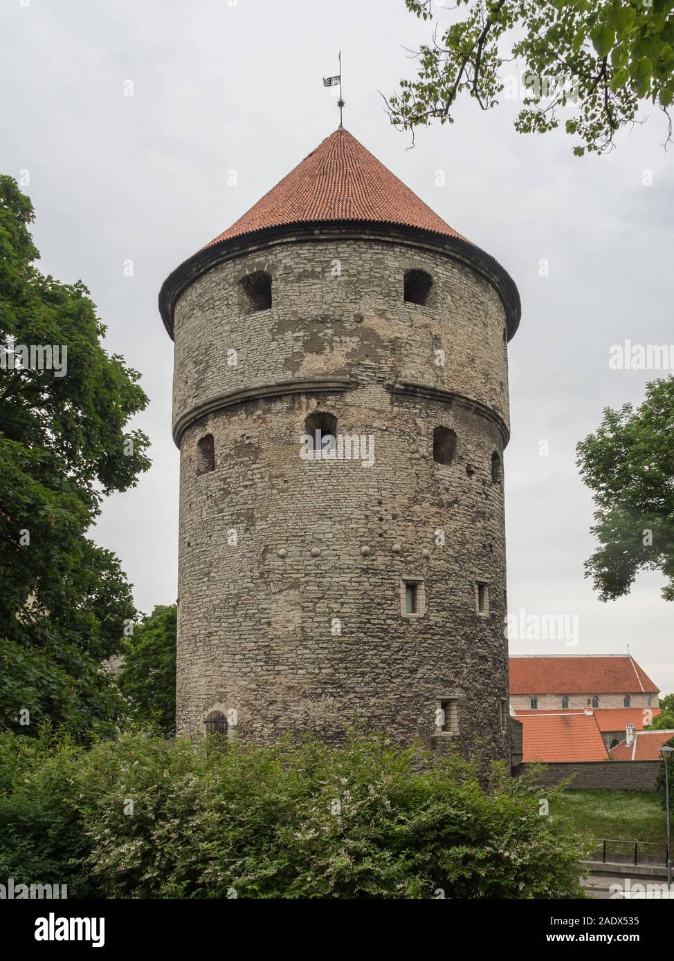 Torre dell'artiglieria Kiek in de Kök nella città vecchia di Tallinn, sito patrimonio dell'umanità dell'UNESCO. Foto Stock